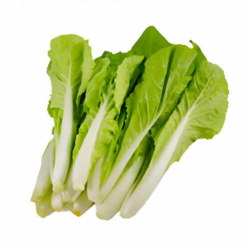 義烏蔬菜水果配送公司