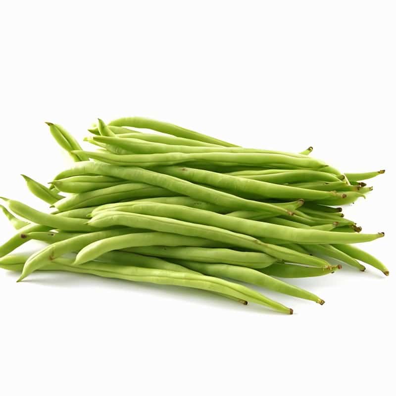 沈陽(yáng)自帶車(chē)加盟蔬菜配送