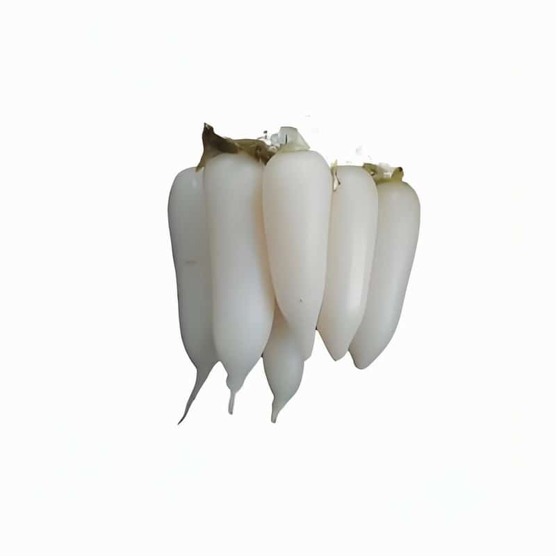 蔬菜配送成本怎么做